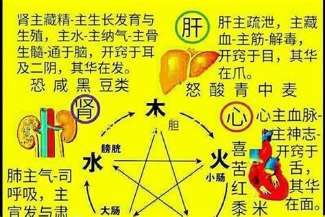 合字五行|合字五行属什么 合在五行中属什么